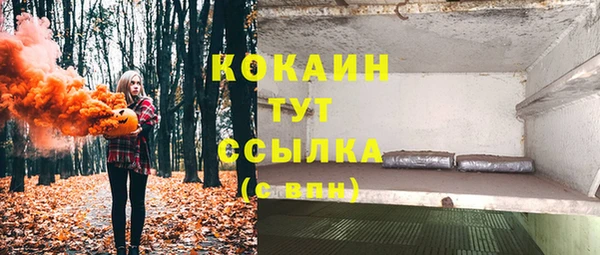 дживик Богданович