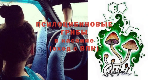 дживик Беломорск