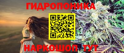 прущая мука Ачхой-Мартан