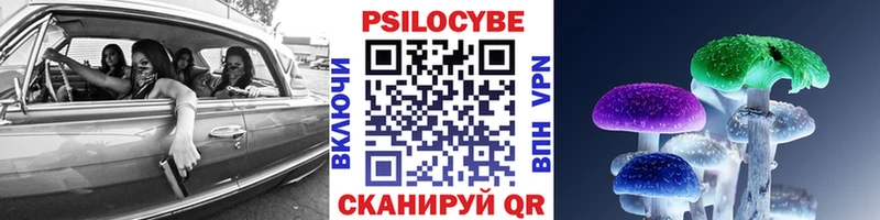 Псилоцибиновые грибы Magic Shrooms  Бор 