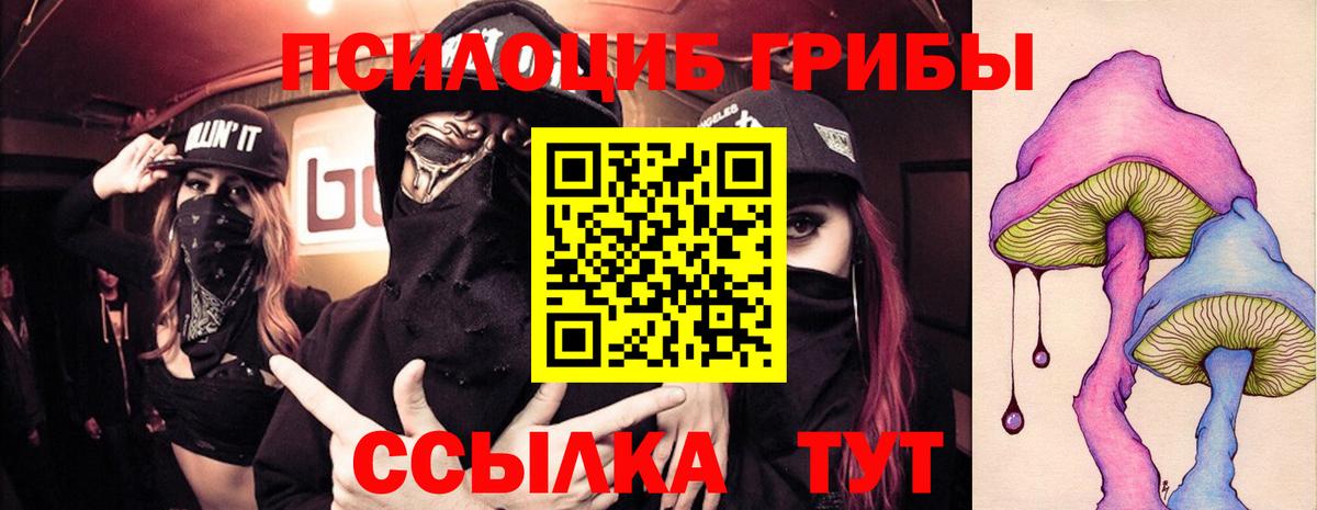 Псилоцибиновые грибы прущие грибы  Вход с VPN  Бор 